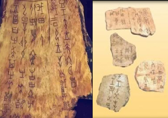 鶴年甲骨無意驚天下